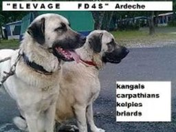 cheops_1_20211129_1404333736